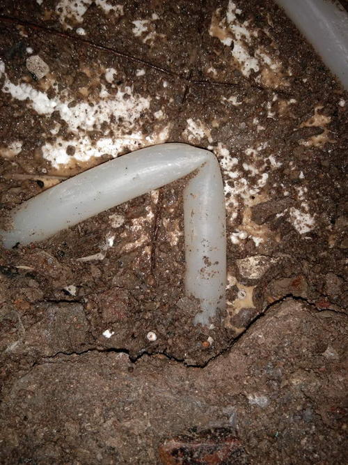 涪城堵点精准查找